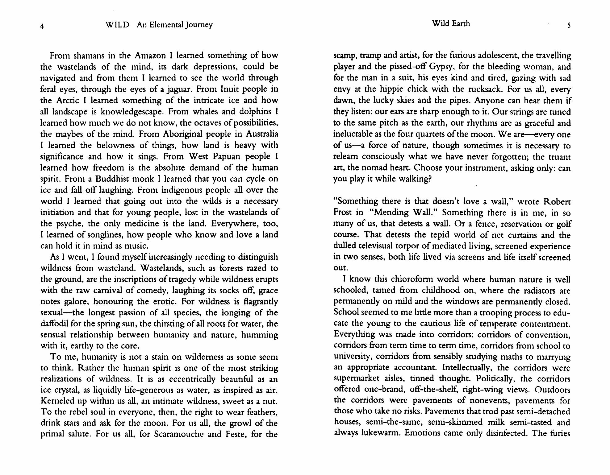 Wild. An Elemental Journey / Книга на Английском - фото №2
