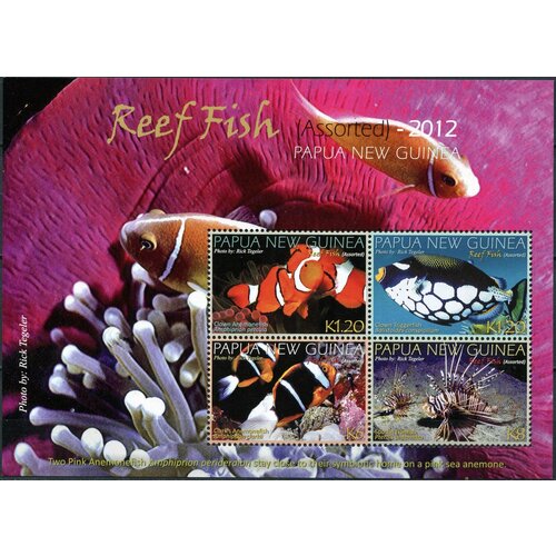 Папуа Новая Гвинея. 2012. Рифовые рыбы (Малый лист. MNH OG)