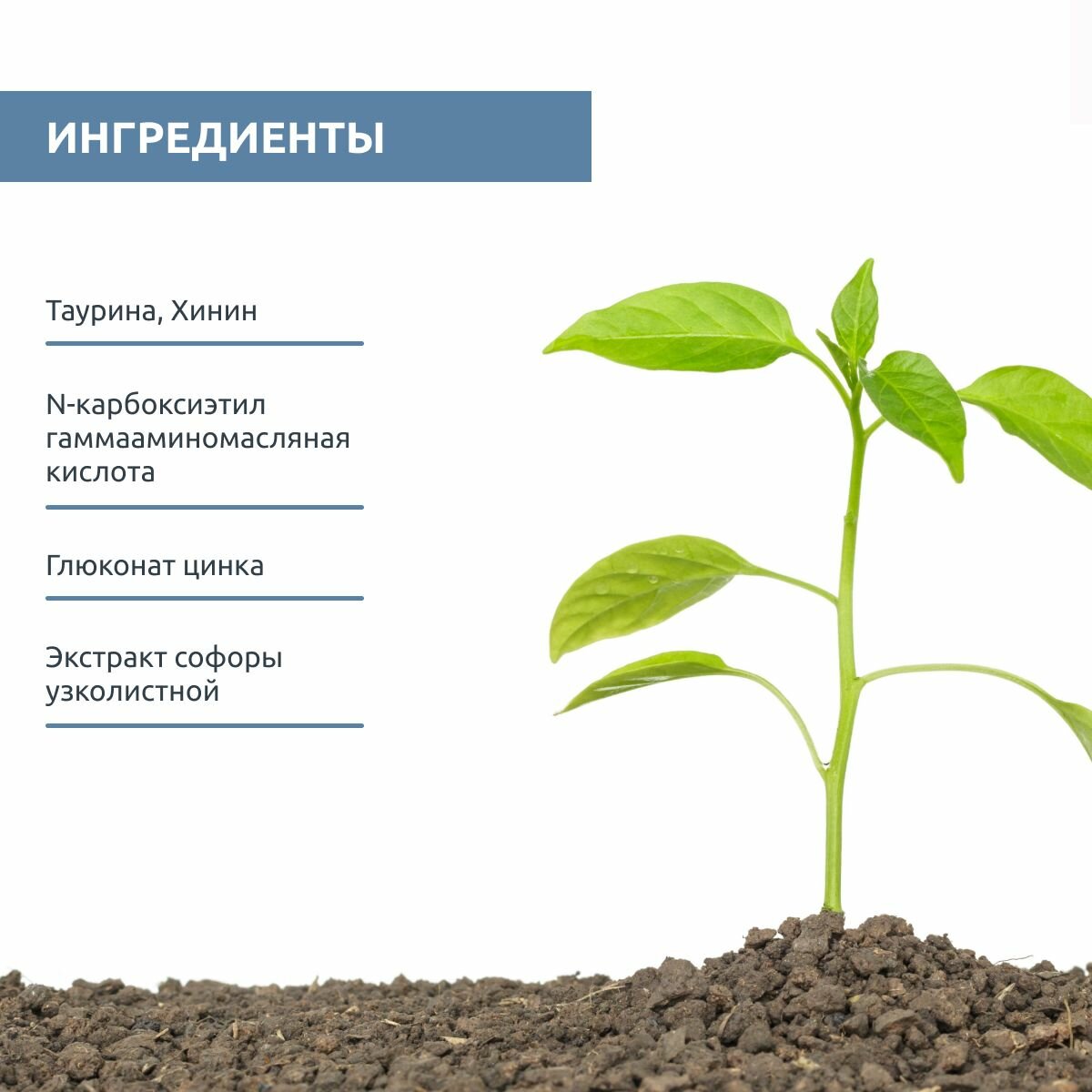 Sesderma Лосьон от выпадения волос, 200 мл (Sesderma, ) - фото №8