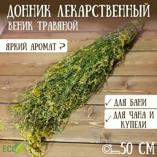 Донник лекарственный. Веник для бани