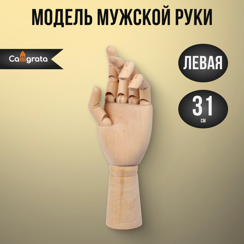 Модель деревянная Рука мужская левая 31см 5269805 1164₽