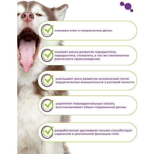 Reginox Dental - гель заживляющий для полости рта