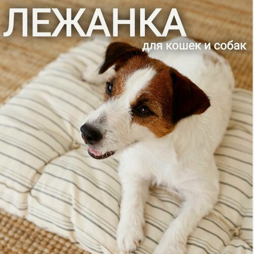 Изображение товара Лежанка матрас ретро СССР 75х50х10 см для домашних животных/собак, серая полоска, арт. MR_L/grey320