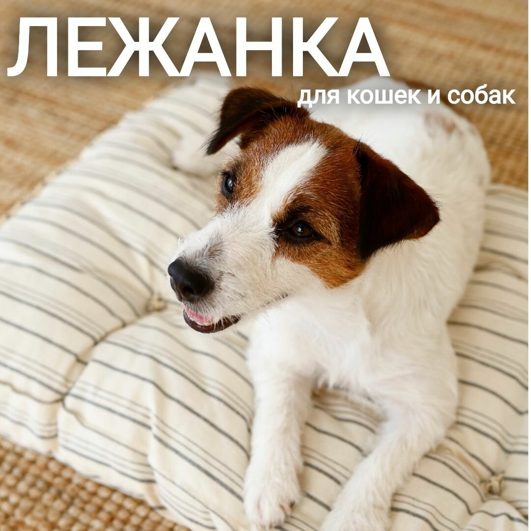 Лежанка матрас ретро СССР 75х50х10 см для домашних животных/собак, серая полоска, арт. MR_L/grey320