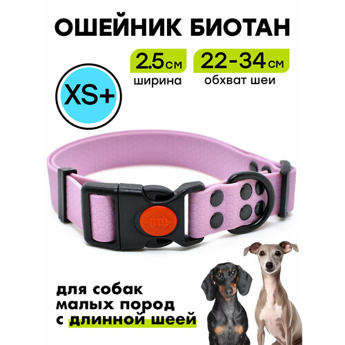 Ошейник из биотана 22-34 см (XS+), 25 мм, Woofy "Iron", для маленьких собак, водостойкий, лавандовый
