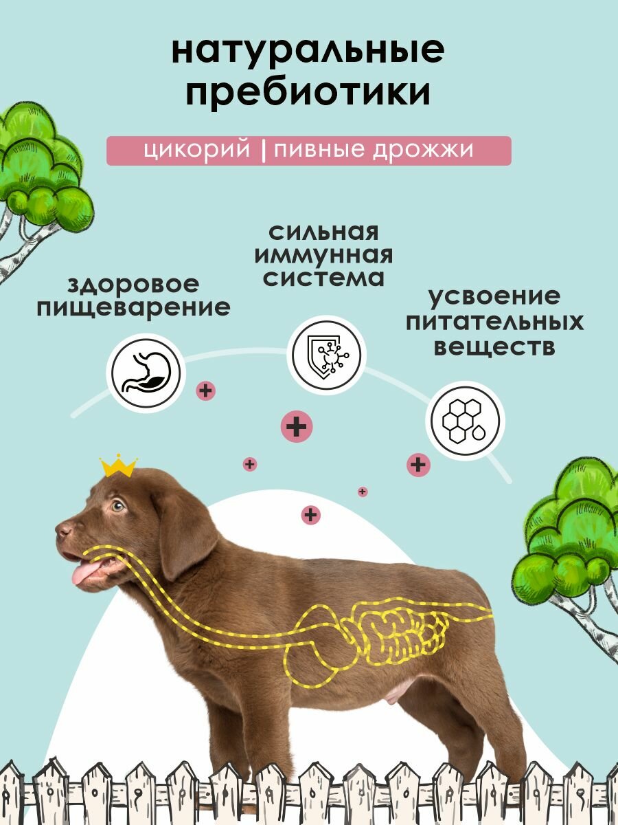 Сухой корм для щенков, гипоаллергенный, ягненок и индейка, 2 кг — фото 1
