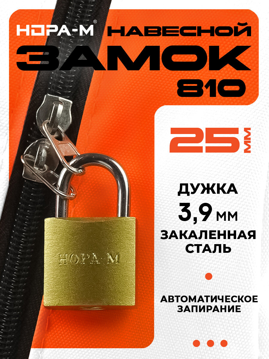 Замок навесной чемоданный почтовый багажный замок для шкафчика нора-м ЗН-810 25 мм латунь