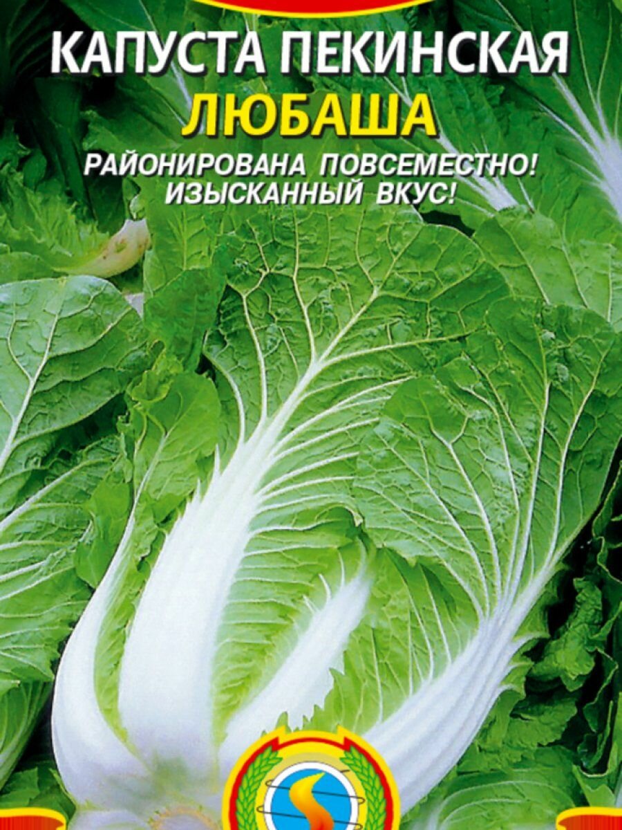 Семена Капуста пекинская Любаша 05 гр Плазменные семена