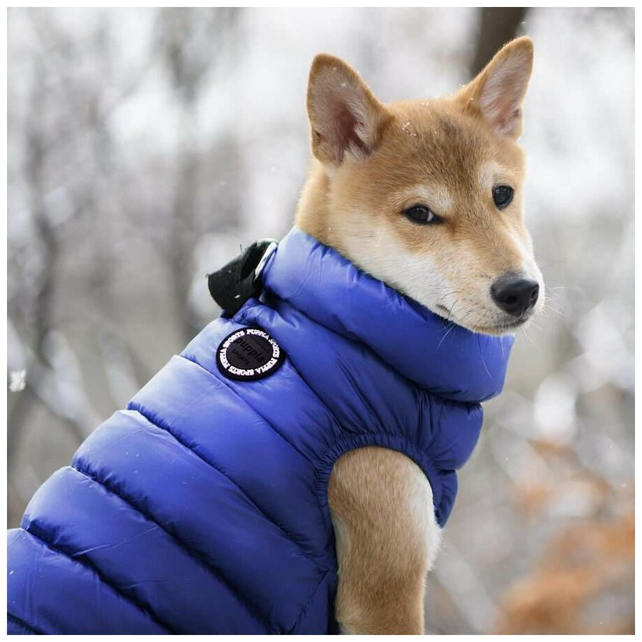 Куртка для собак Puppia Ultra Light Vest A , размер S, зимняя - фотография № 3