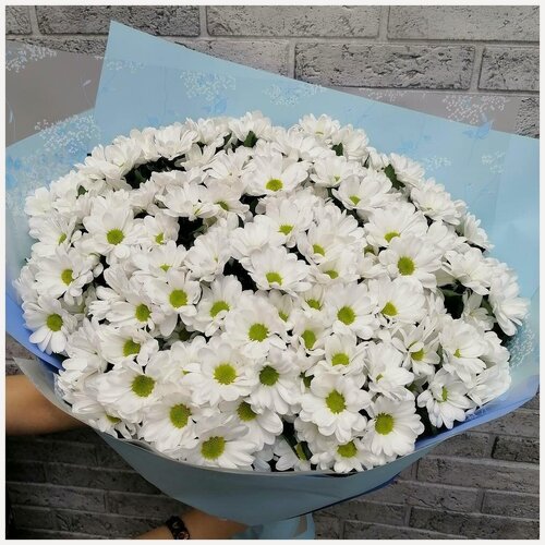 Изображение товара Букет Well Flowers "Хризантемы" , 15 штук, высота 60см, белый, бежевый свежий букет цветов