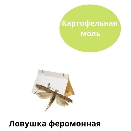 Ловушка феромонная-Картофельная моль