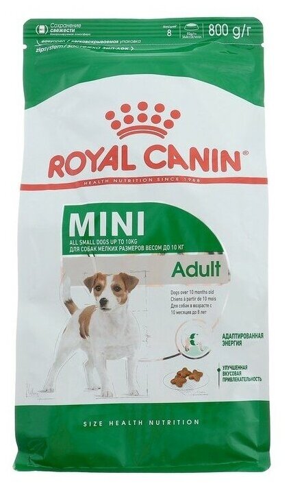 Сухой корм Royal Canin Mini Adult (Мини Эдалт) для собак мелких размеров от 10 месяцев до 8 лет, 0,8 кг