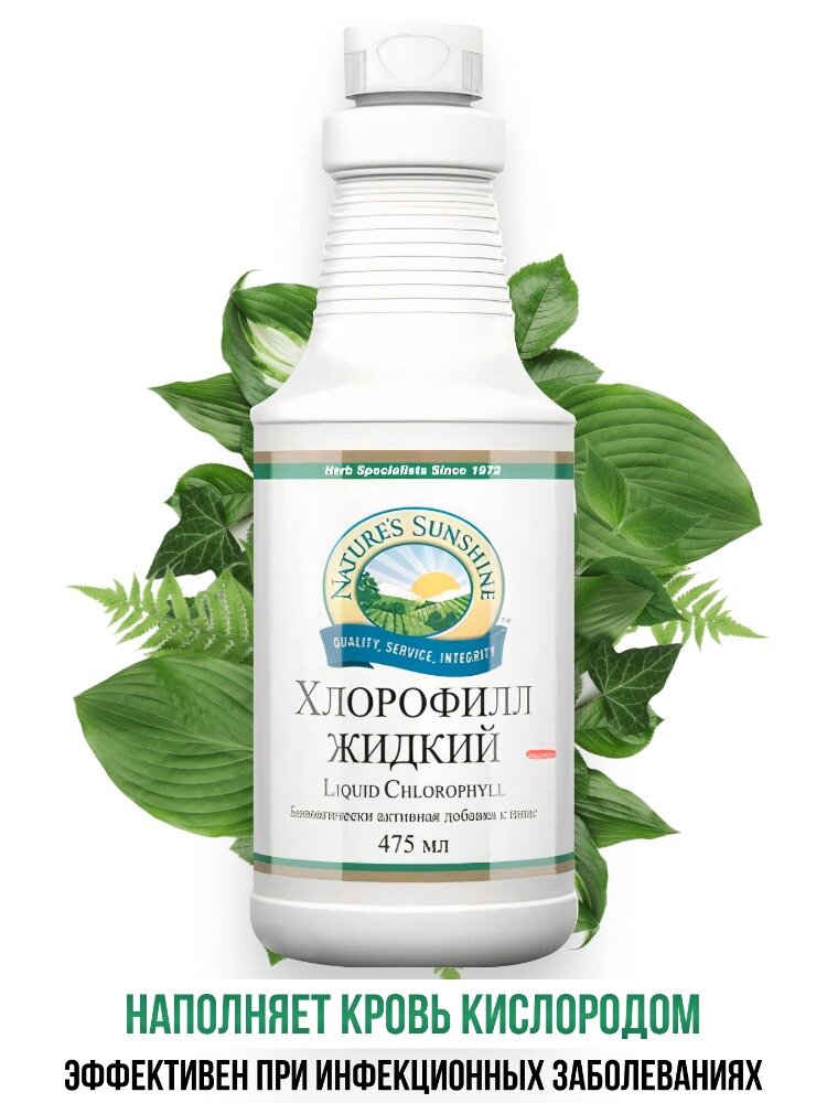 Хлорофилл жидкий НСП / CHLOROPHYLL LIQUID NEW NSP / Способствует обновлению тканей и быстрому заживлению ран / 475 мл
