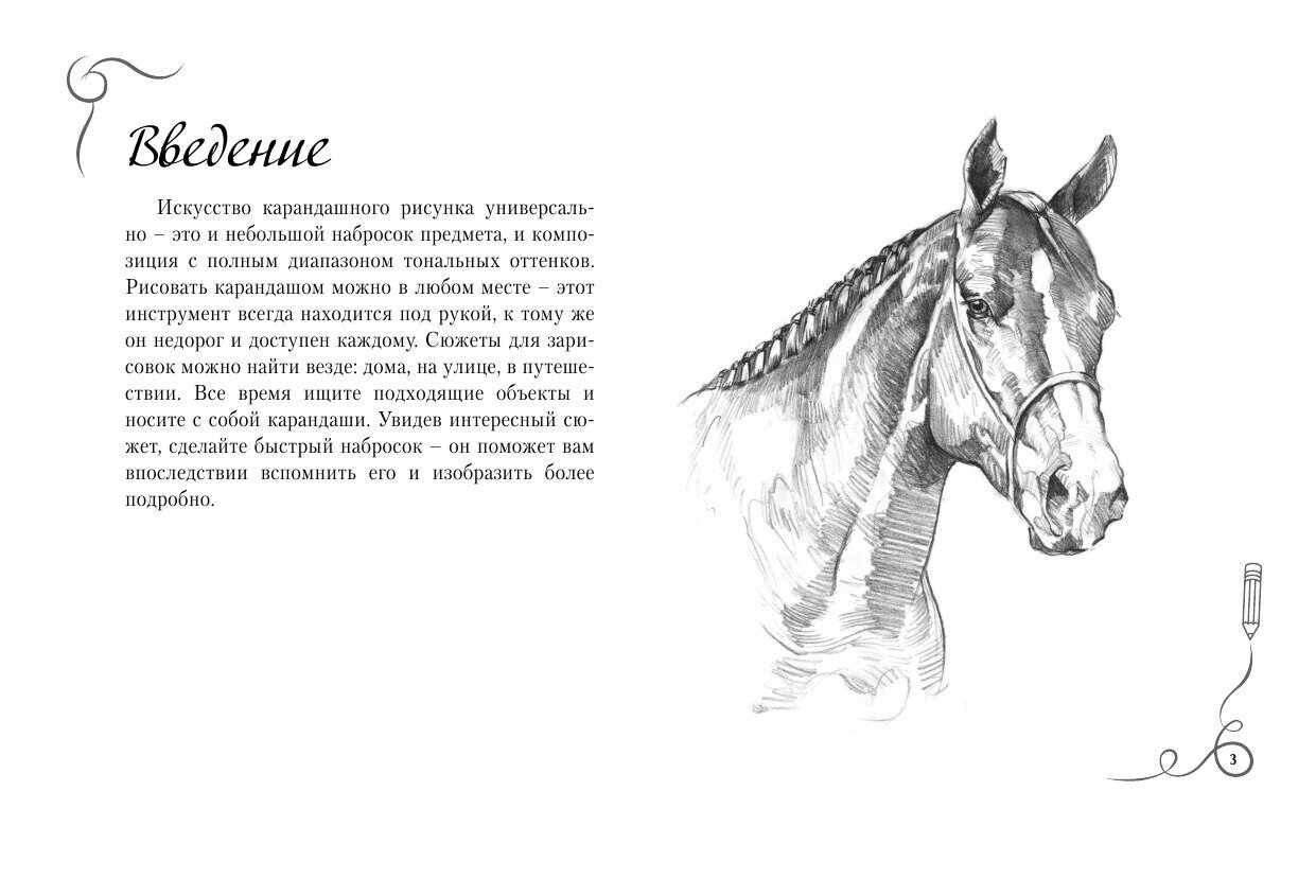 Основы рисования. Альбом для скетчинга - фото №15