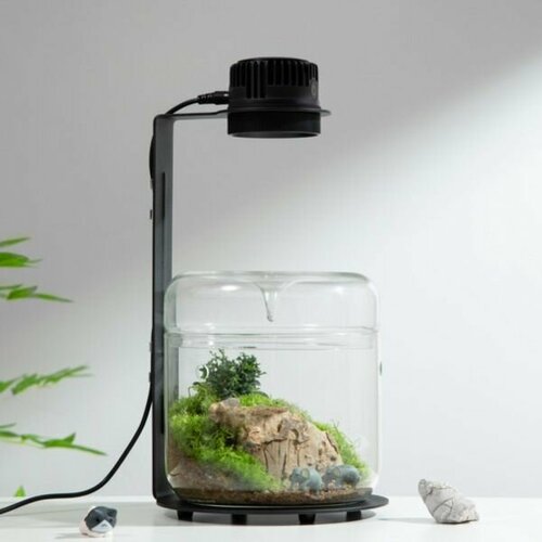 Фитолампа для флорариума TF-05 Bioloark