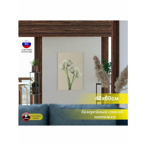 Белые цветы Ранункулюс №1 полностью готовая картина 40х60