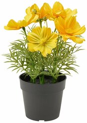 Искусственное растение в горшке Икеа Фейка космея, 22 см, желтый