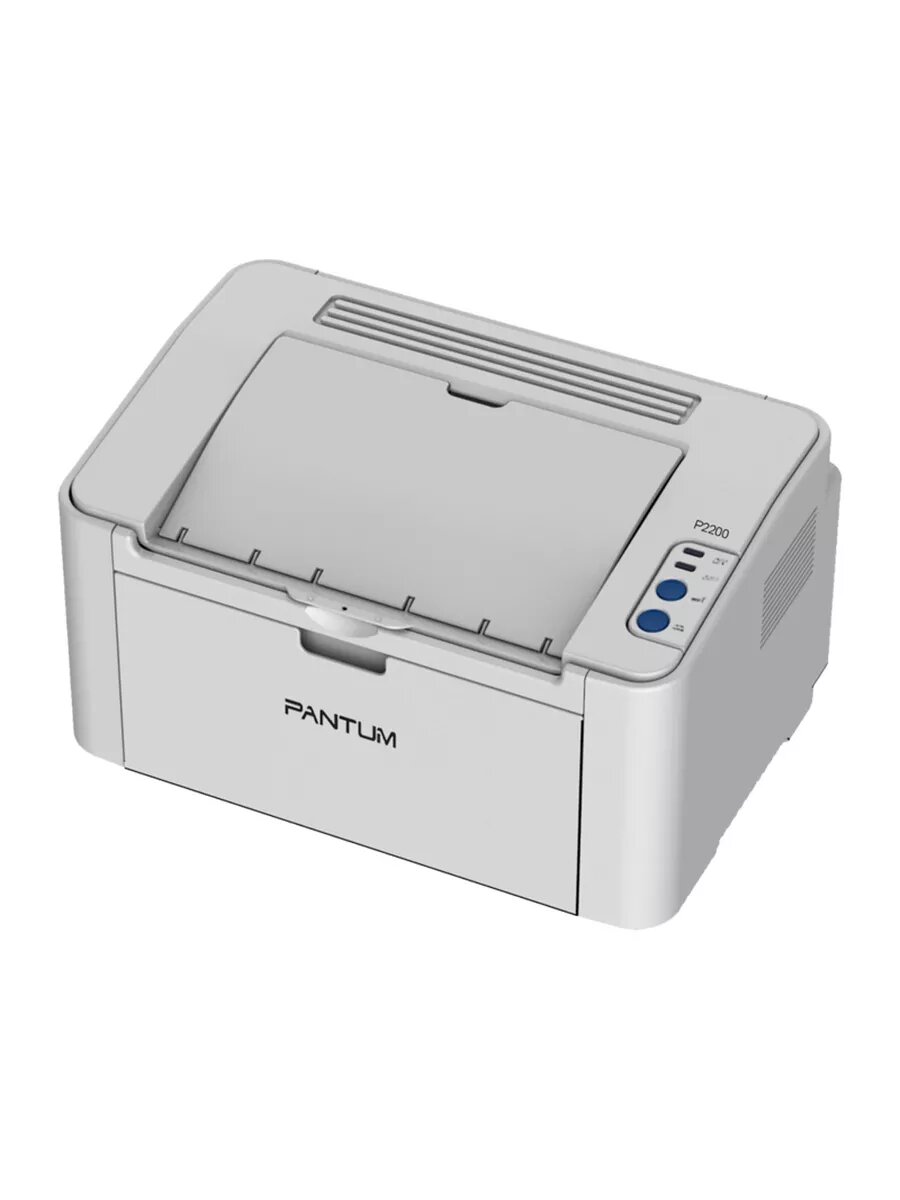 Принтер для малого офиса Pantum P2200, лазерный, монохромный, серебристый