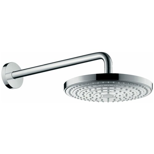 Душевая лейка Hansgrohe 26466000