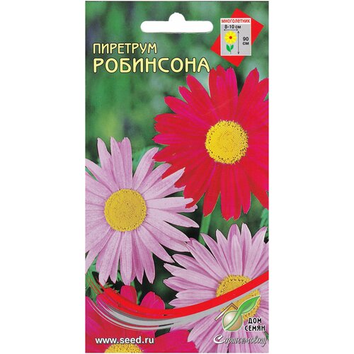 Пиретрум многолетний Робинсон, 25 семян колокольчик многолетний симфония розовый 180 семян
