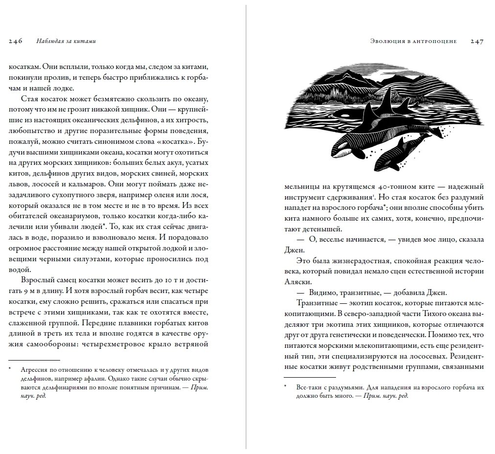 Ник Пайенсон "Наблюдая за китами: Прошлое, настоящее и будущее загадочных гигантов (электронная книга)"
