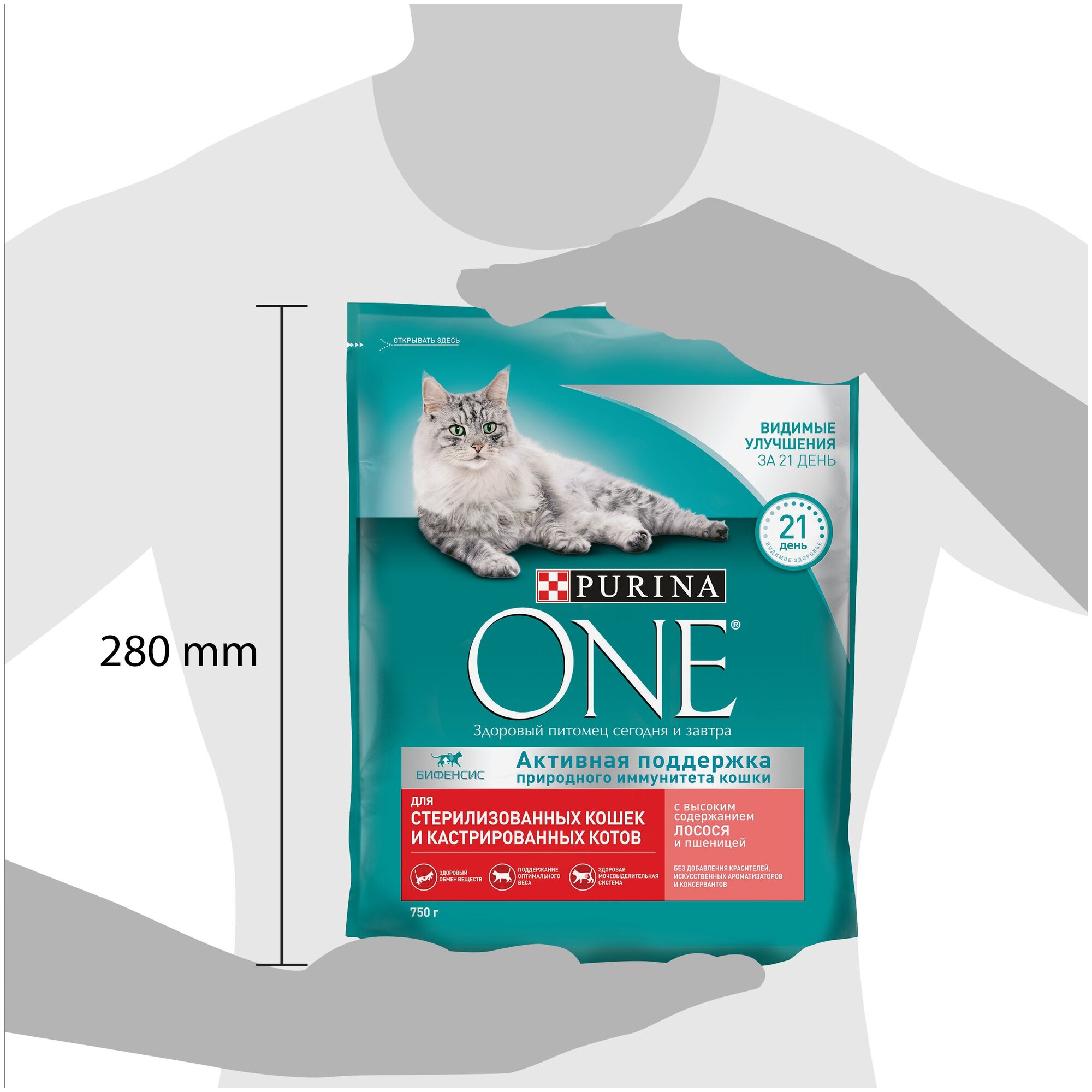 Сухой корм Purina ONE для стерилизованных кошек и котов с лососем и пшеницей, Пакет, 750 г,Для взрослых кошек - фотография № 4