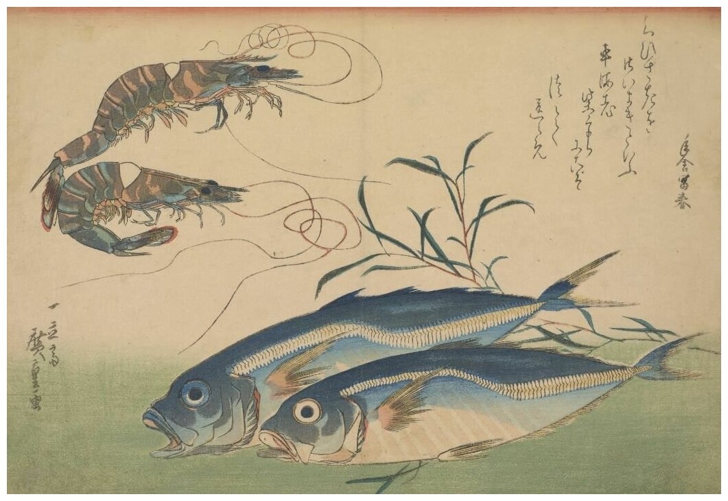 Репродукция на холсте Ставрида с креветкой (1832-1833) (Horse Mackerel (Aji) with Shrimp or Prawn, with inscription) Утагава Хиросигэ 44см. x 30см.