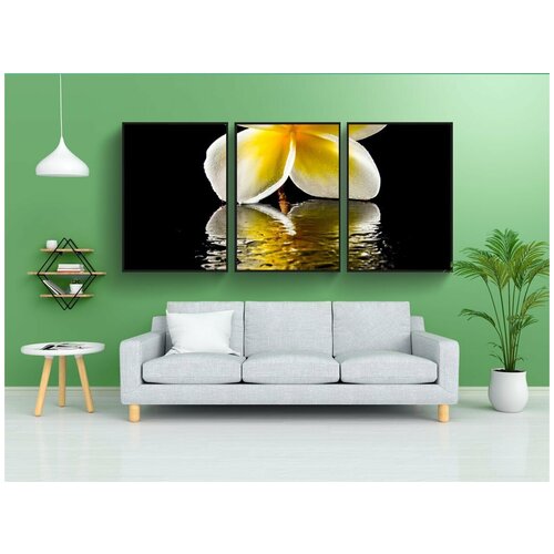 фото Набор модулных постеров для интерьера "цвести, цветок, белый" 60x90 см. в тубусе, без рамки lotsprints