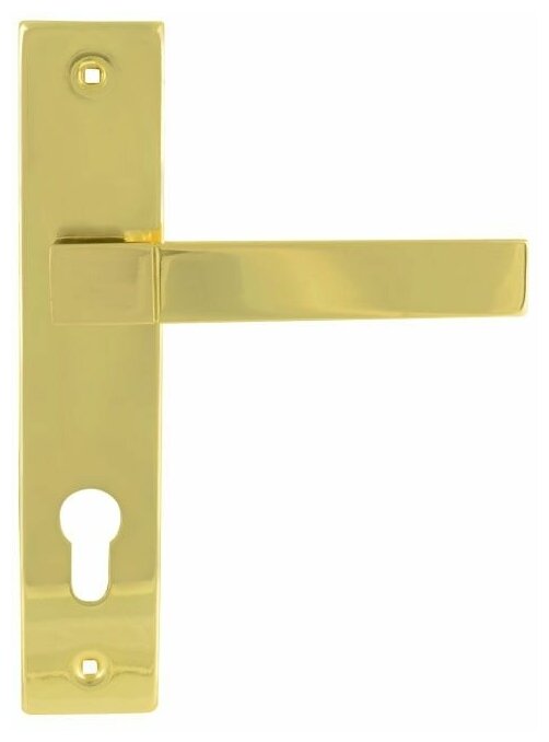 Ручка дверная на планке 109-70 мм, золото Нора-М 16272 - фотография № 1