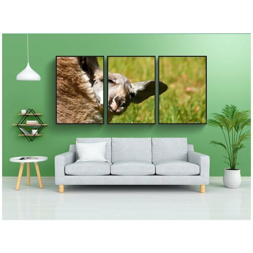 фото Набор модулных постеров для интерьера "кенгуру, джоуи, мешочек" 60x90 см. в тубусе, без рамки lotsprints