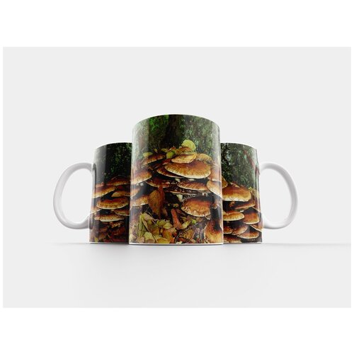 фото Кружка "грибы, падение, осенний лес" 320 мл lotsprints