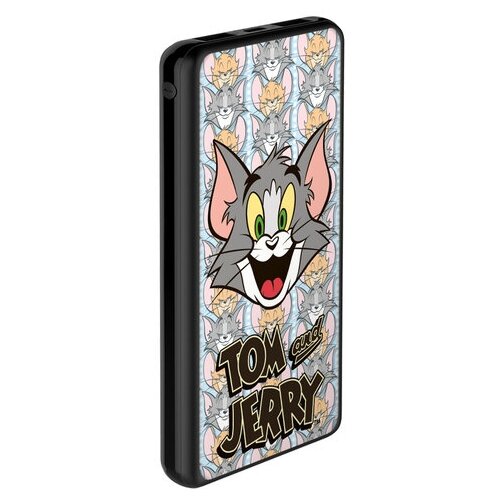 Внешний АКБ 10000 mAh 2 USB 1 MICRO 21A Li-pol черный TJ 07 Deppa 124586 139000₽