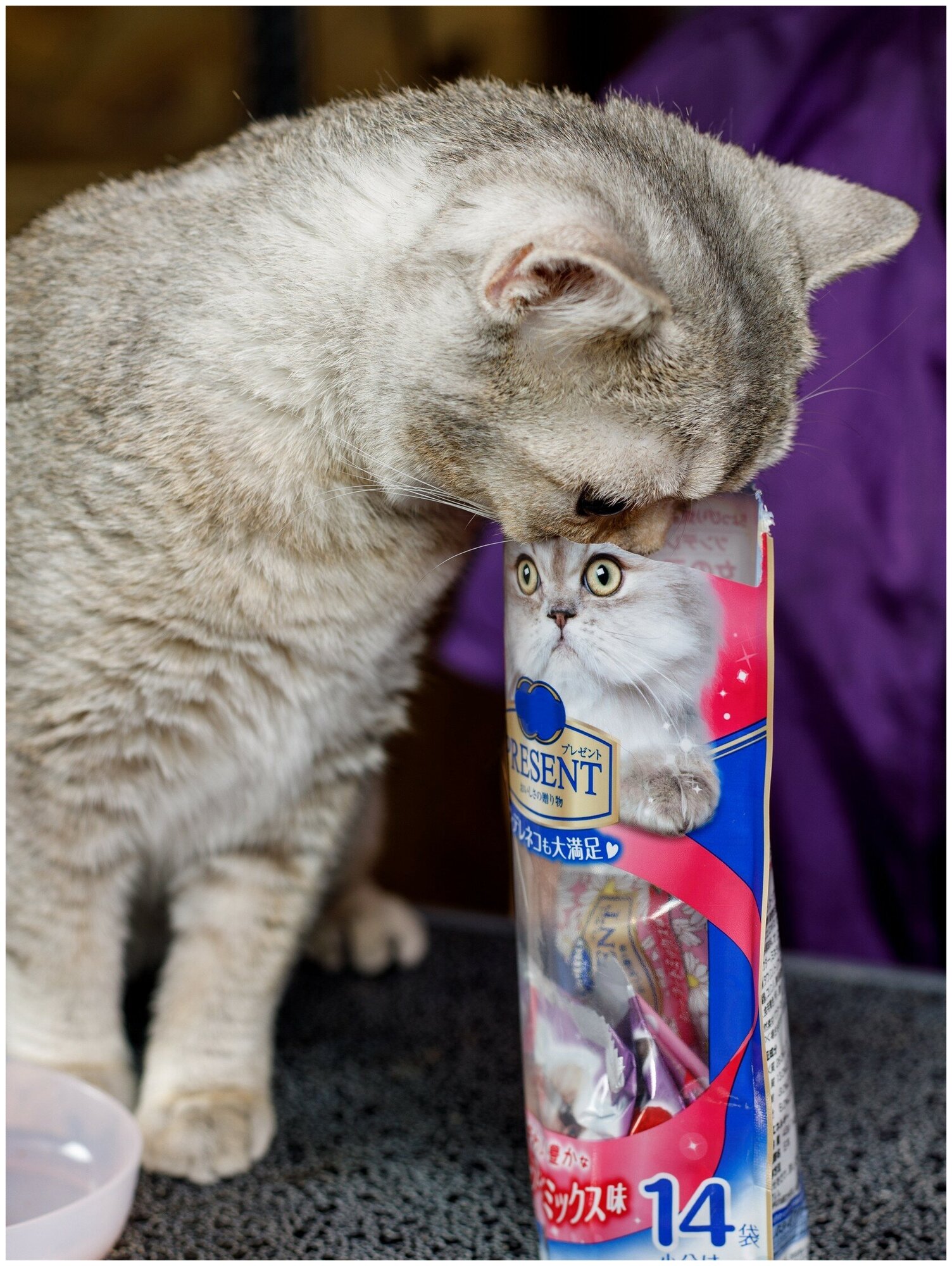 Лакомство для кошек Japan Premium Pet, хрустящий корм PRESENT для избалованных кошек на основе тихоокеанских морепродуктов, 42 г - фотография № 5