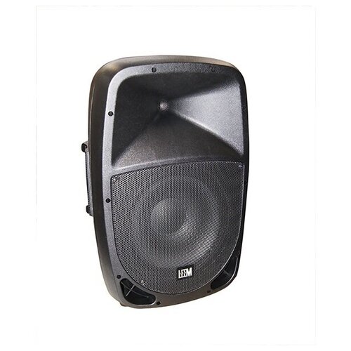 Leem PR-12HR Акустическая система портативная 120Вт 1538000₽