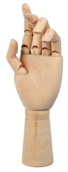 Calligrata Модель деревянная рука, мужская, левая, 31 см