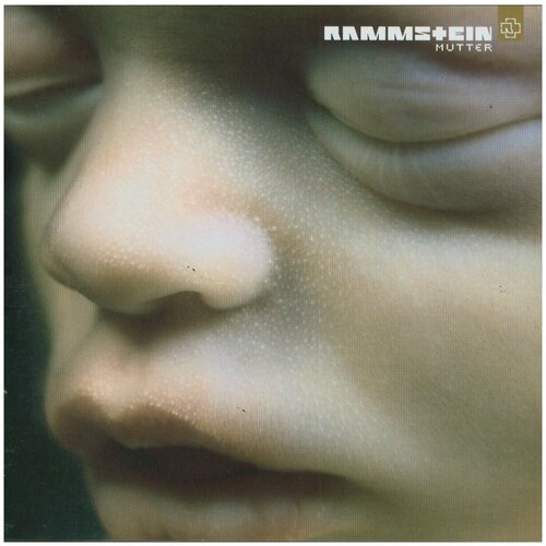 rammstein mutter lp Audio CD Rammstein. Mutter. 2021 (CD)