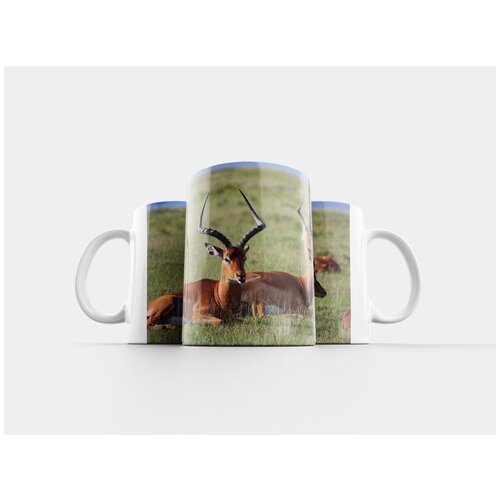 фото Кружка "антилопа, дикой природы, млекопитающее" 320 мл lotsprints