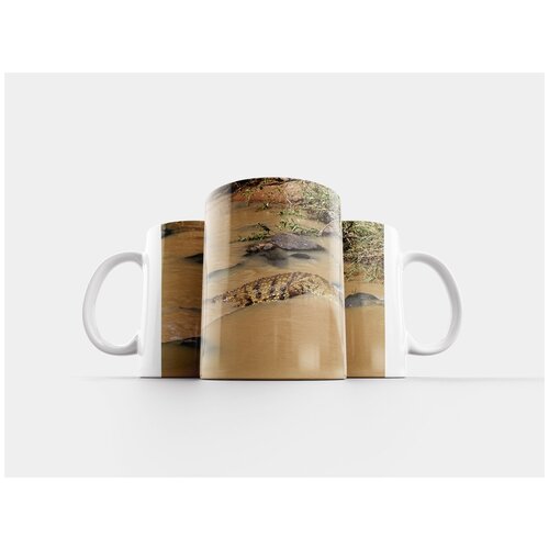 фото Кружка "дикая природа, крокодил, река" 320 мл lotsprints