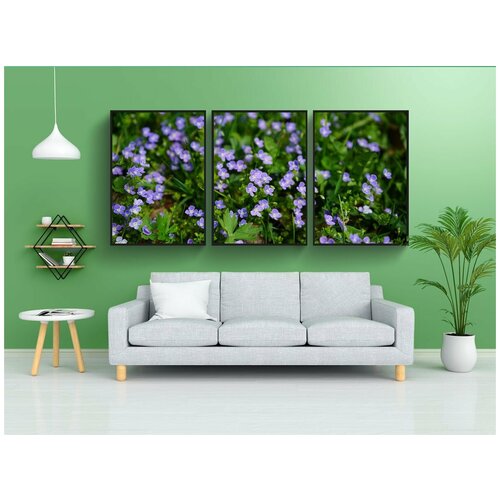 фото Набор модулных постеров для интерьера "почетная награда, дубравная, цветок" 60x90 см. в тубусе, без рамки lotsprints