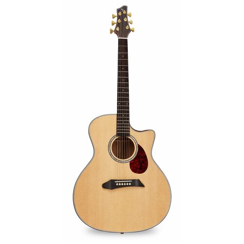 NG AM411SC NA акустическая гитара, цвет натуральный, чехол в комплекте