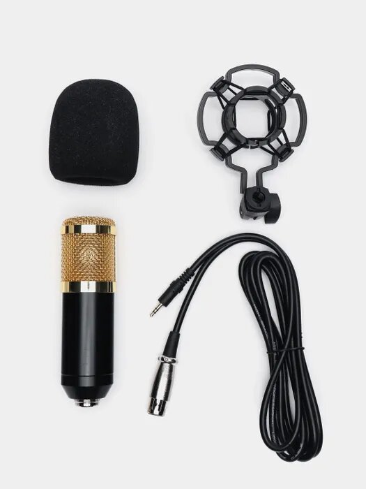 Микрофон БМ - BM 800 студийный конденсаторный с держателем без стойки