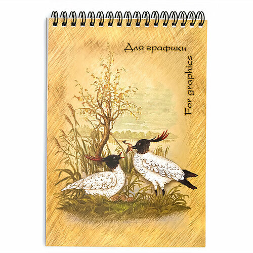 Teenagers Блокнот для графики 180 г/м2 A5 14.8 х 21 см на спирали 20 л. БГ/А5