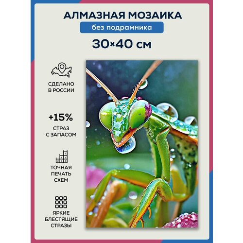 Алмазная мозаика 30x40 Кузнечик без подрамника алмазная мозаика 30x40 краб красный без подрамника