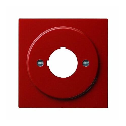 Центральная крышка 027243