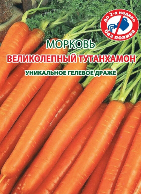 Семена Морковь Великолепный Тутанхамон 300 шт.