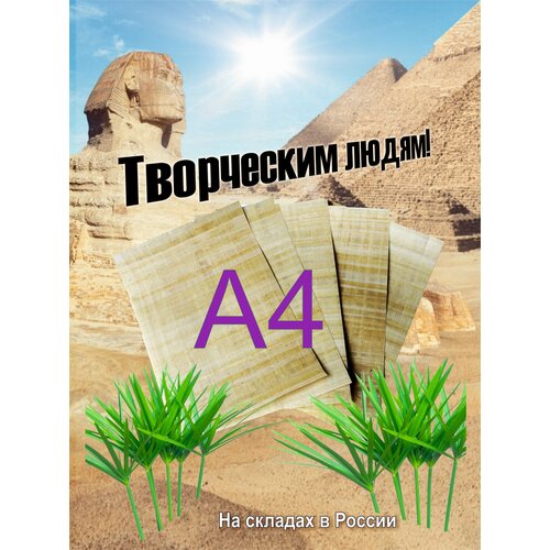 Папирусная бумага. Лист чистого папируса из Египта для творчества А4. 10 листов. Чистые листы Египетского папируса,