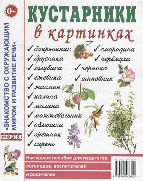 Наглядные пособия для воспитателей