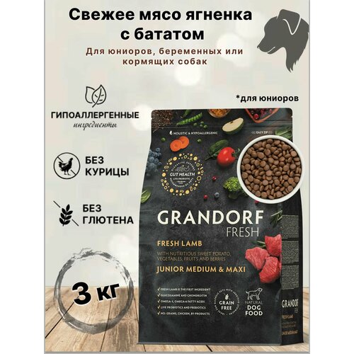 Grandorf Fresh JUNIOR MED&MAXI Lamb&Sweet Potato (Свежее мясо ягненка с бататом для юниоров средних и крупных пород) 3 кг.
