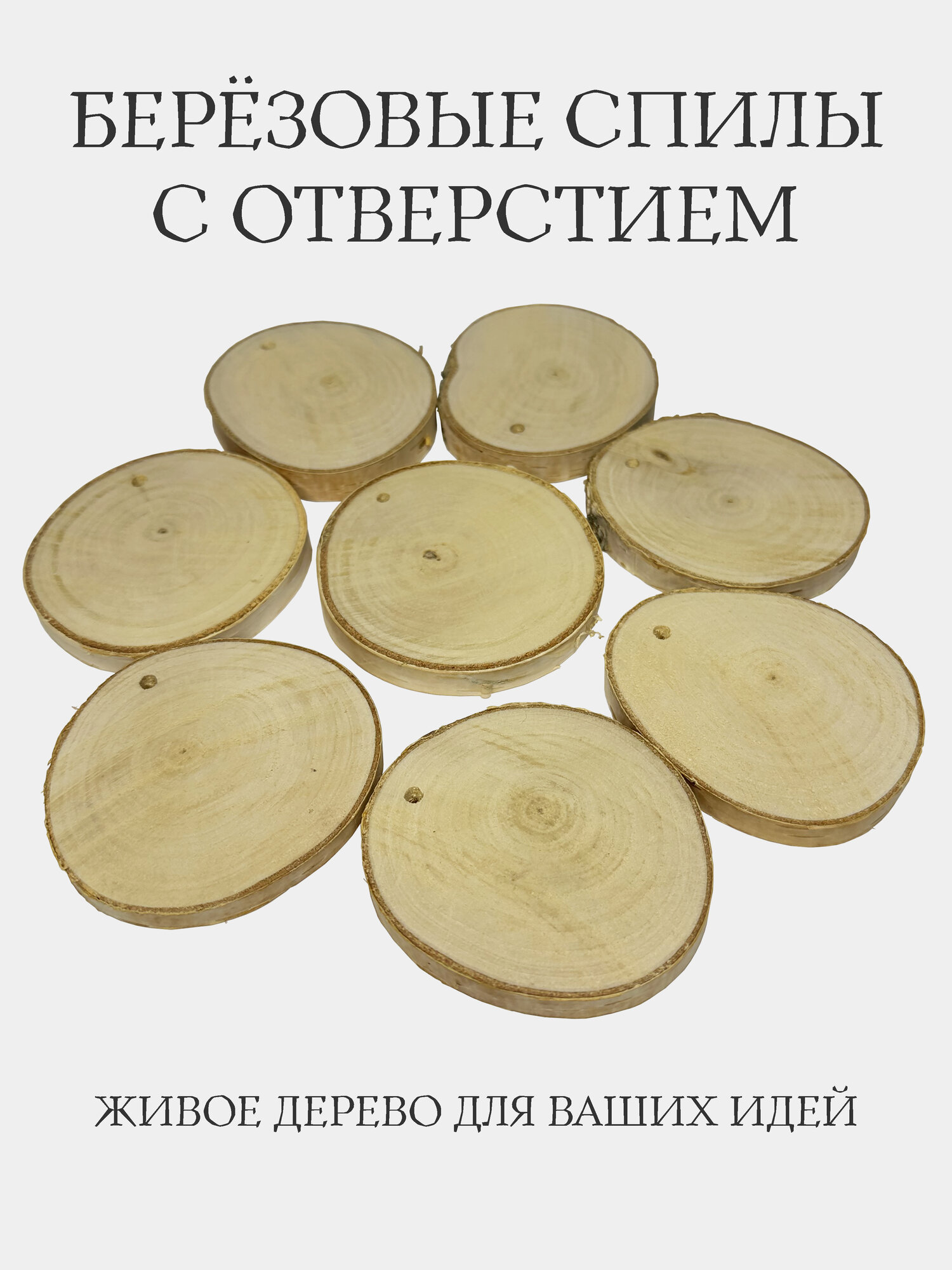 Берёзовые спилы с отверстием