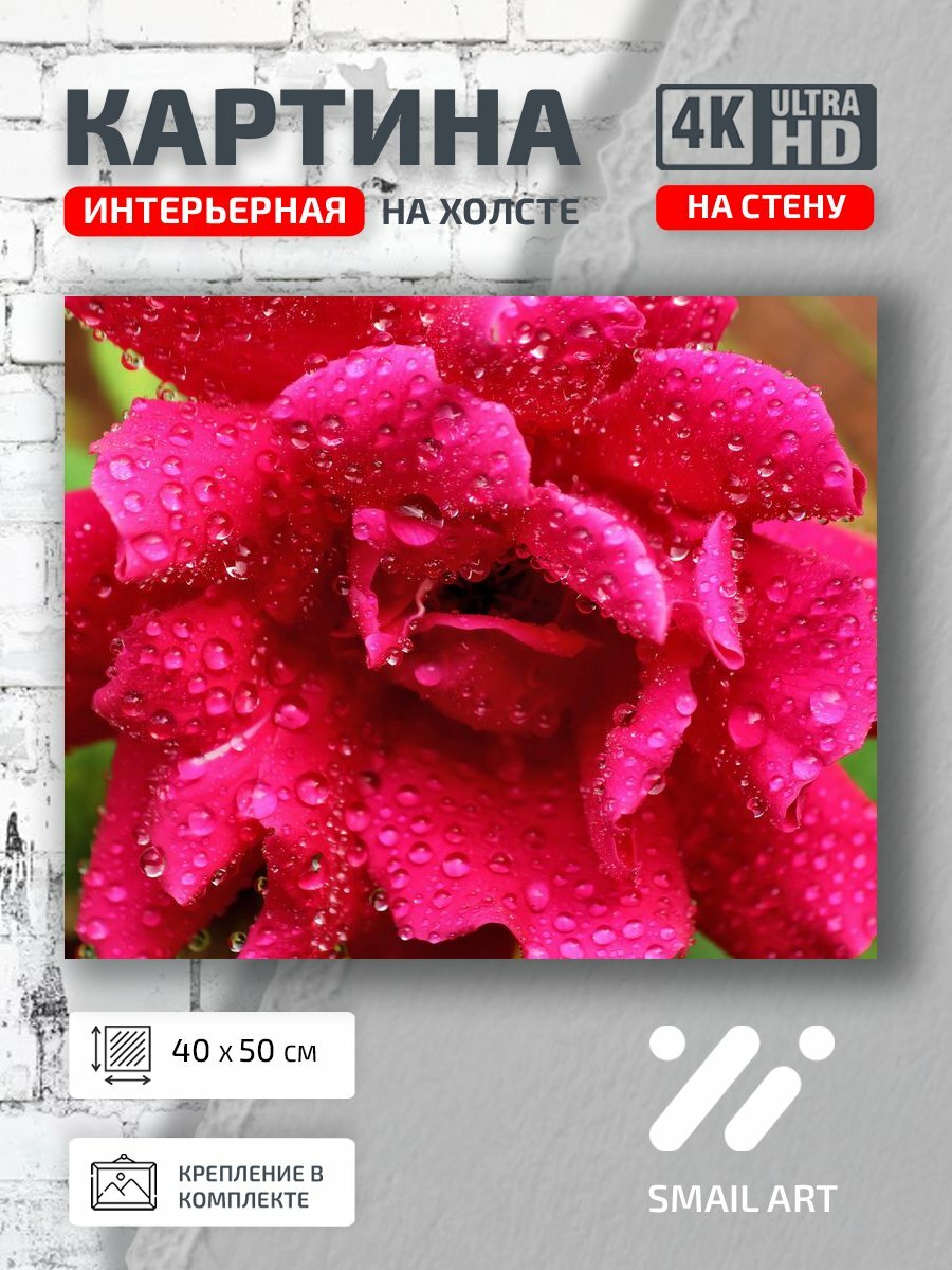 Картина на холсте интерьерная 40 на 50 на стену Лепестки petals для кабинета пейзаж декор